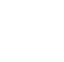 Icono