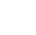 Icono