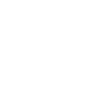 Icono